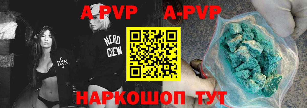 А ПВП СК КРИС Новозыбков