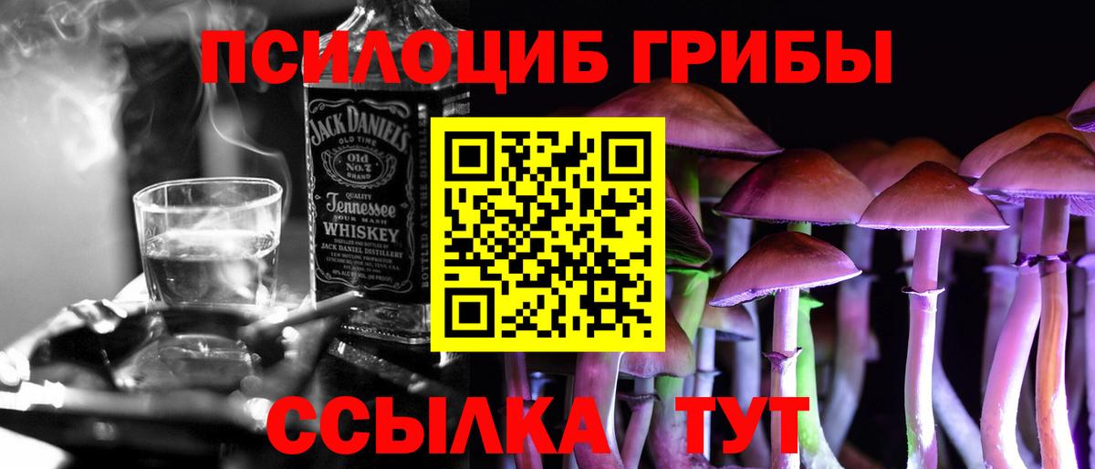 Псилоцибиновые грибы прущие грибы Новозыбков