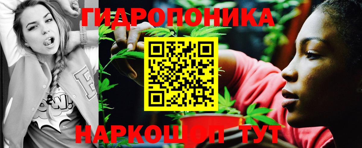 Канабис White Widow  Бошки Шишки White Widow  Вход с VPN  Каннабис White Widow  Новозыбков 